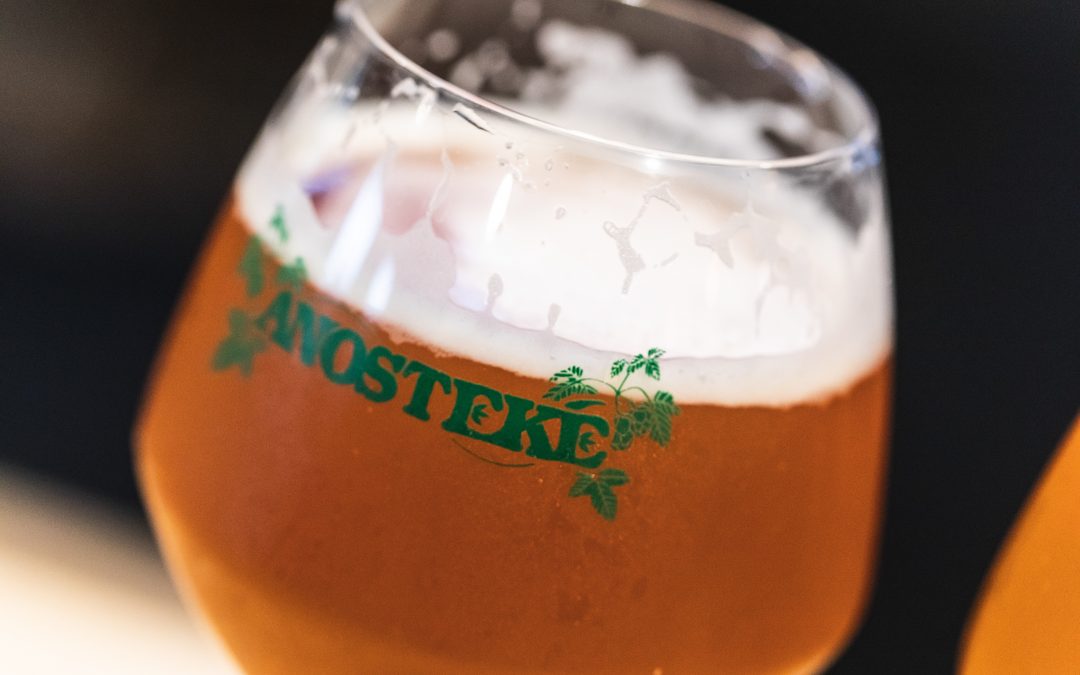 ANOSTEKE MICROBRASSERIE